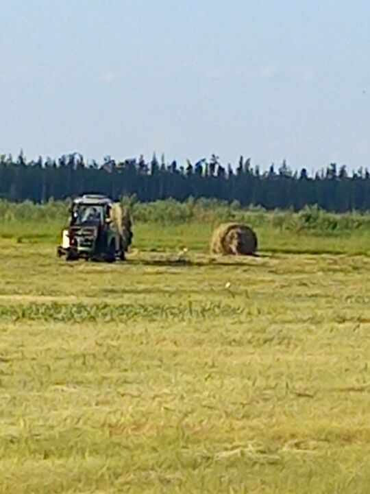 IMG-20250712-WA0054