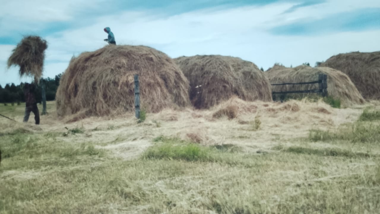 IMG-20251017-WA0065